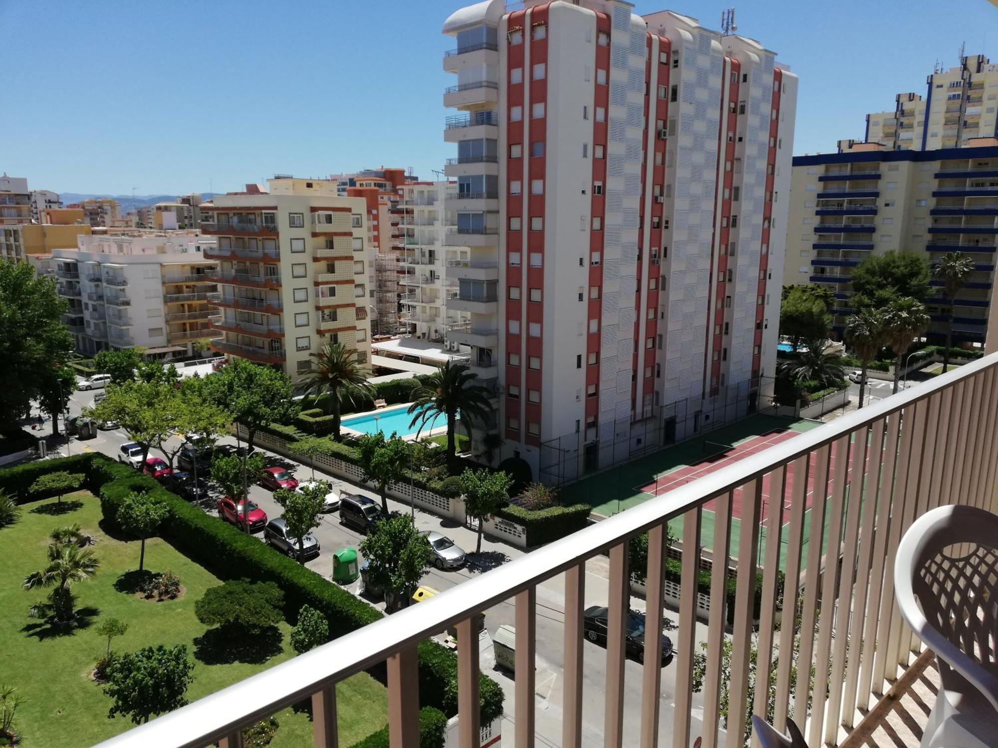 Danio Solo Familia Serviplaya