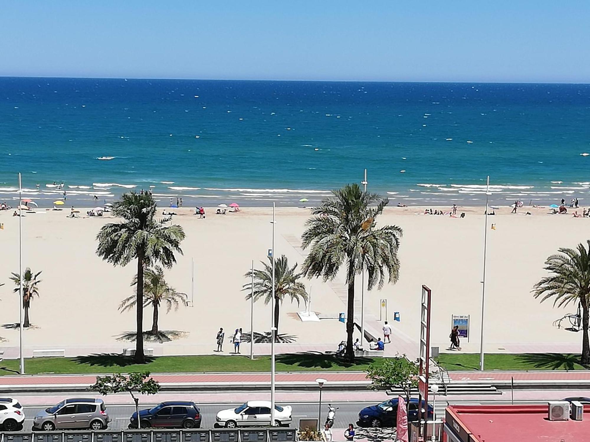Danio Solo Familia Serviplaya * Playa de Gandia
