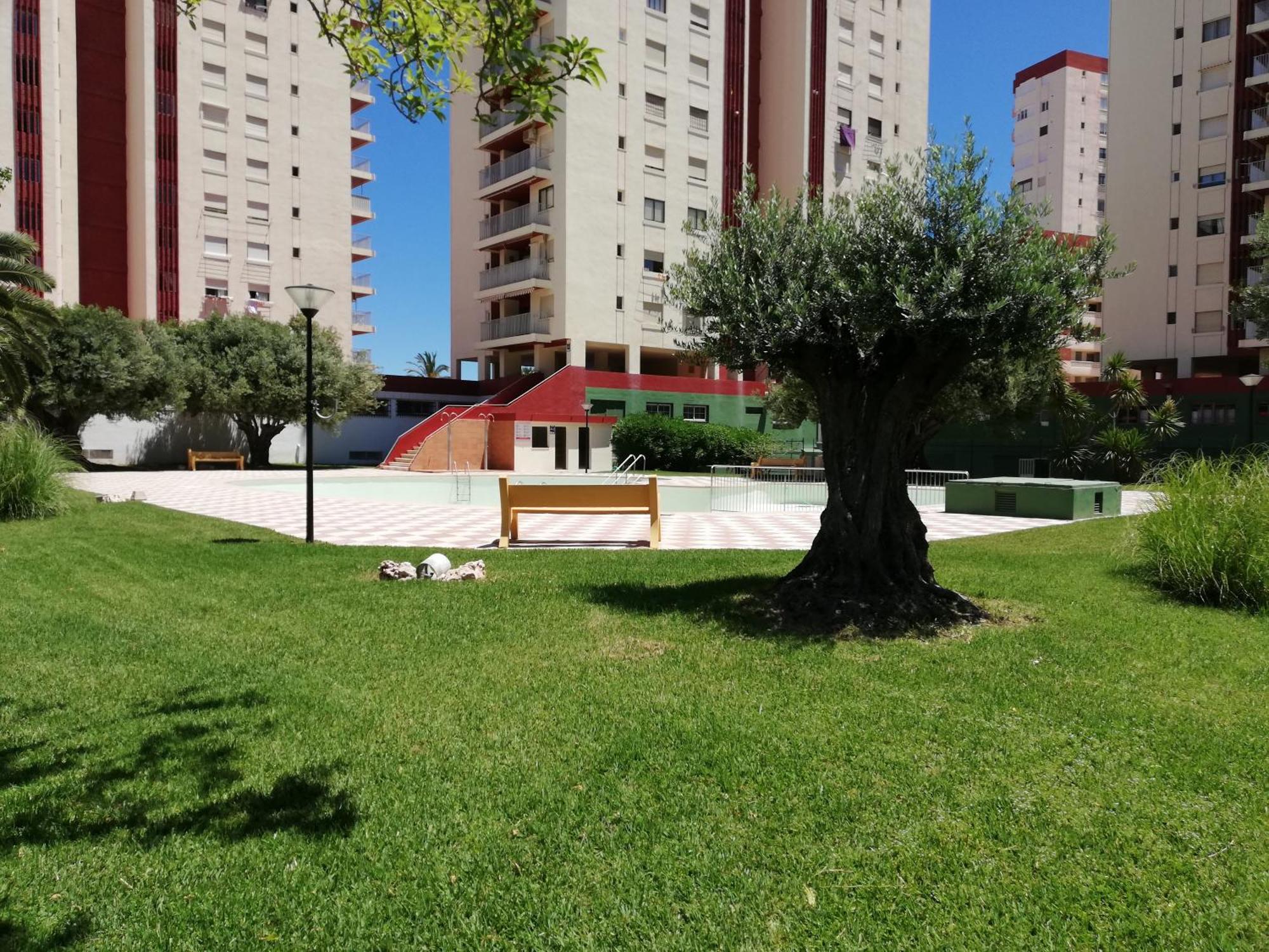 Apartment Danio Solo Familia Serviplaya